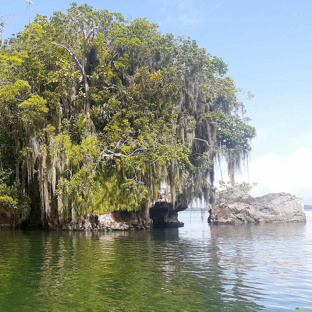 Nationalpark Los Haitises Deep Blue Bayahibe Diving Punta Cana