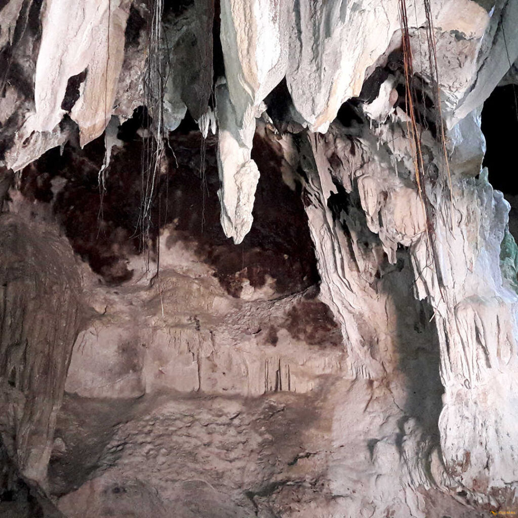 Nationalpark Los Haitises Deep Blue Bayahibe Diving Punta Cana