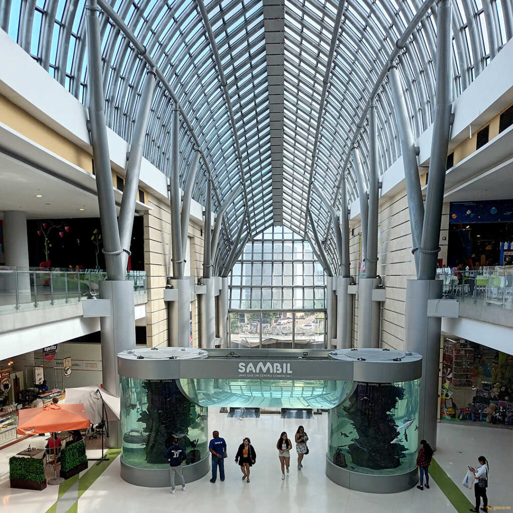 Santo Domingo Deep Blue Bayahibe Diving